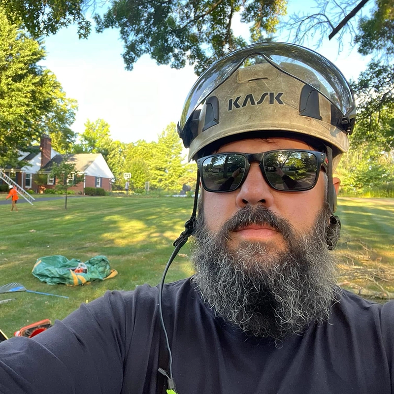 Tree Removal Service