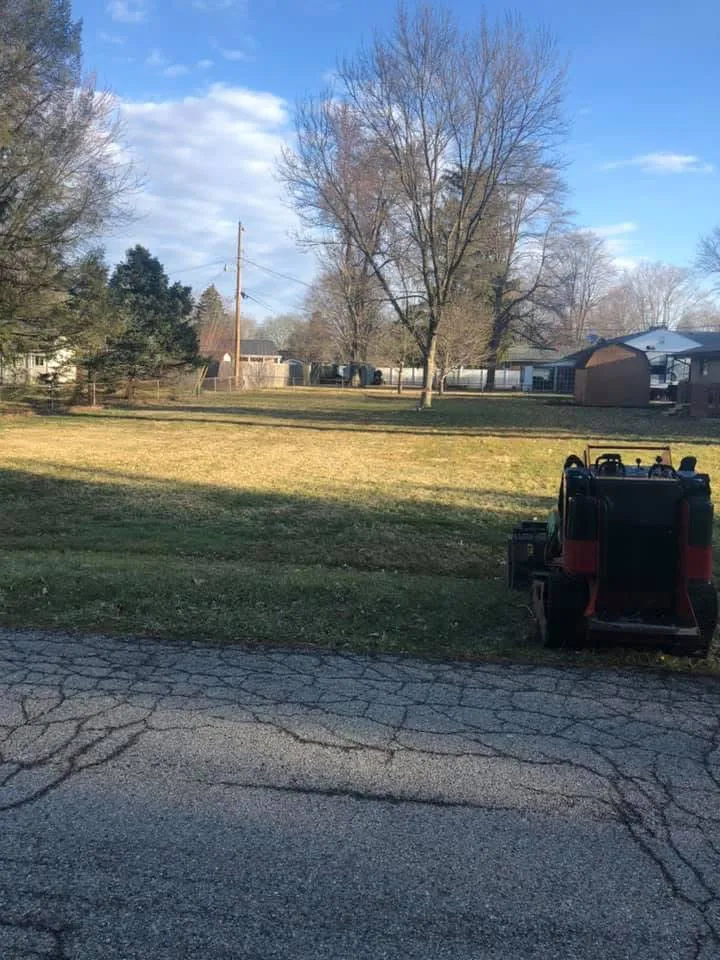 Cabling And Bracing Services Centerville OH