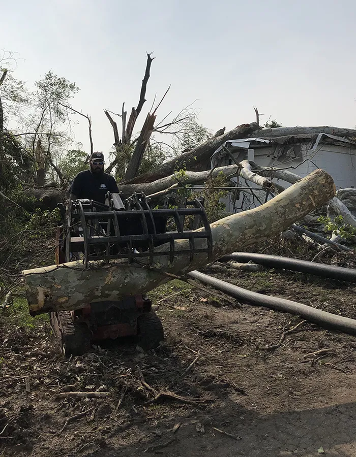 Emergency Tree Services Centerville OH