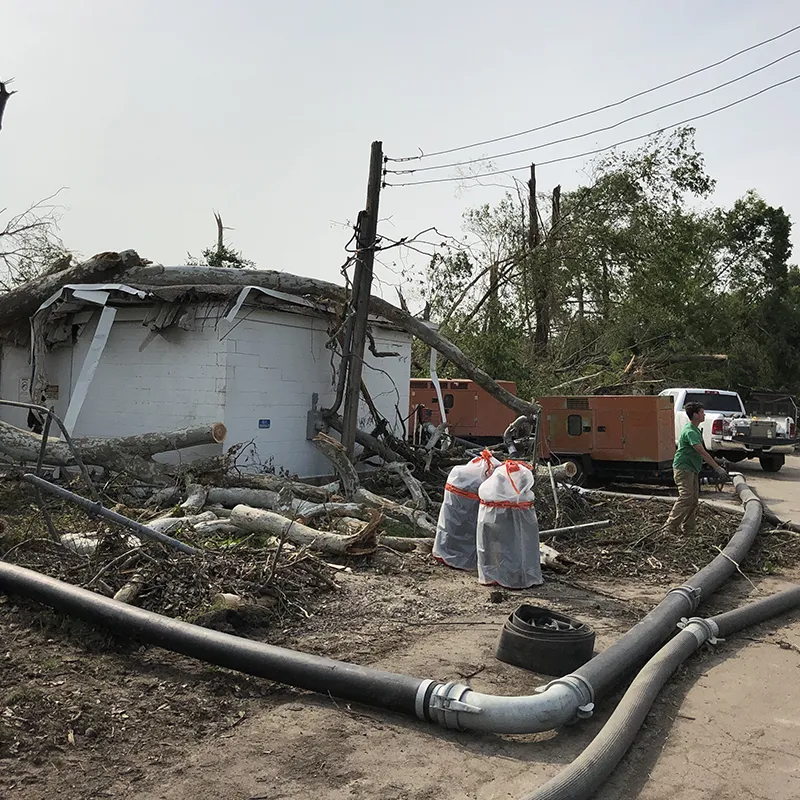 Emergency Tree Services