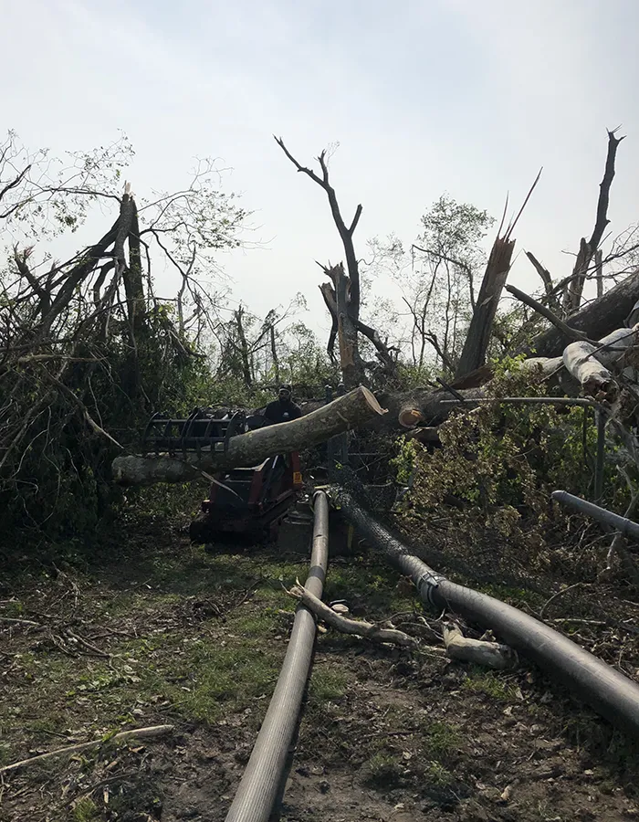 Emergency Tree Services