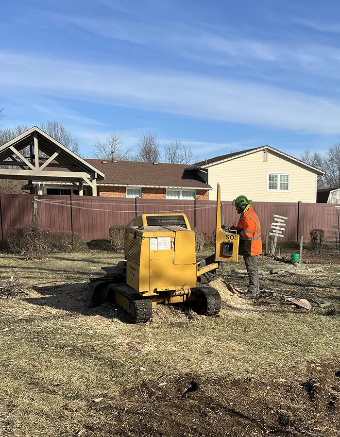Stump Grinding