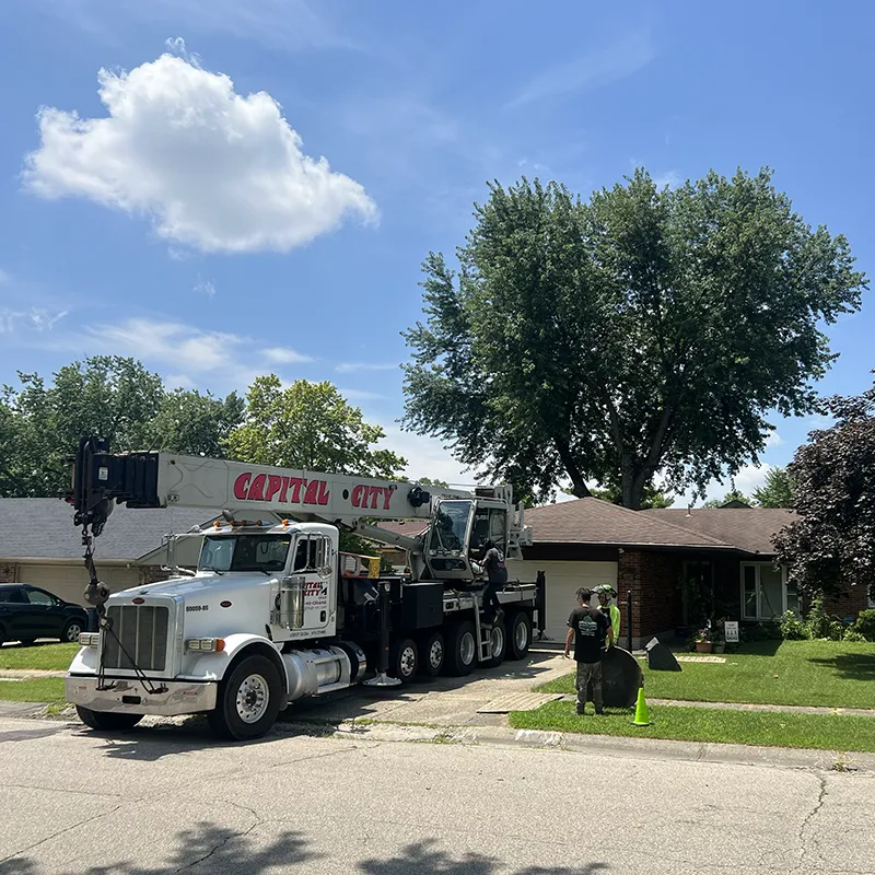 Tree Pruning Services In Centerville OH