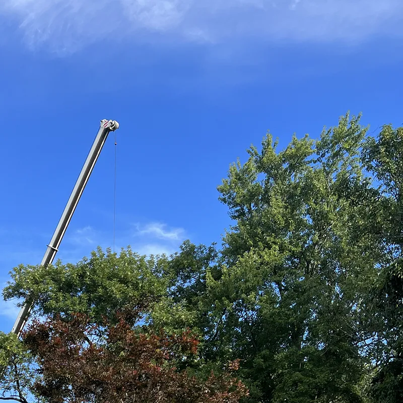 Tree Trimming Service